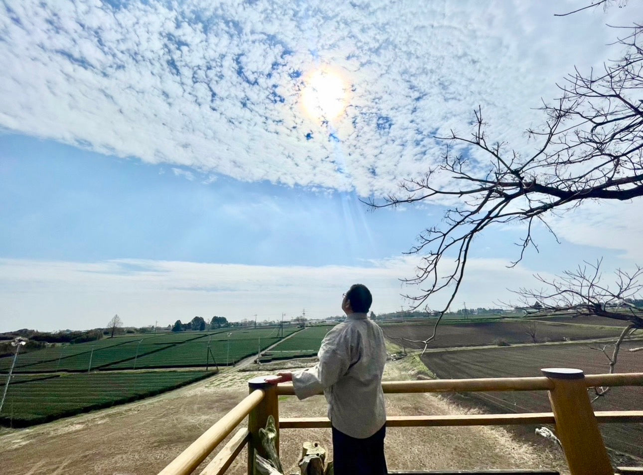 Hinata Matcha 0.70 oz (20g) - Organic single origin green tea powder ceremonial grade